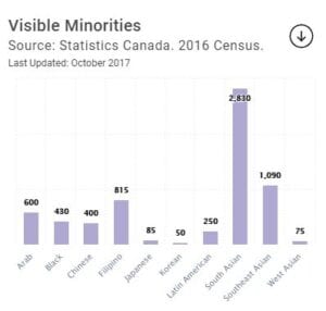 Chart with visible minorities